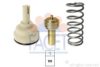 FACET 7.8618S Thermostat, coolant